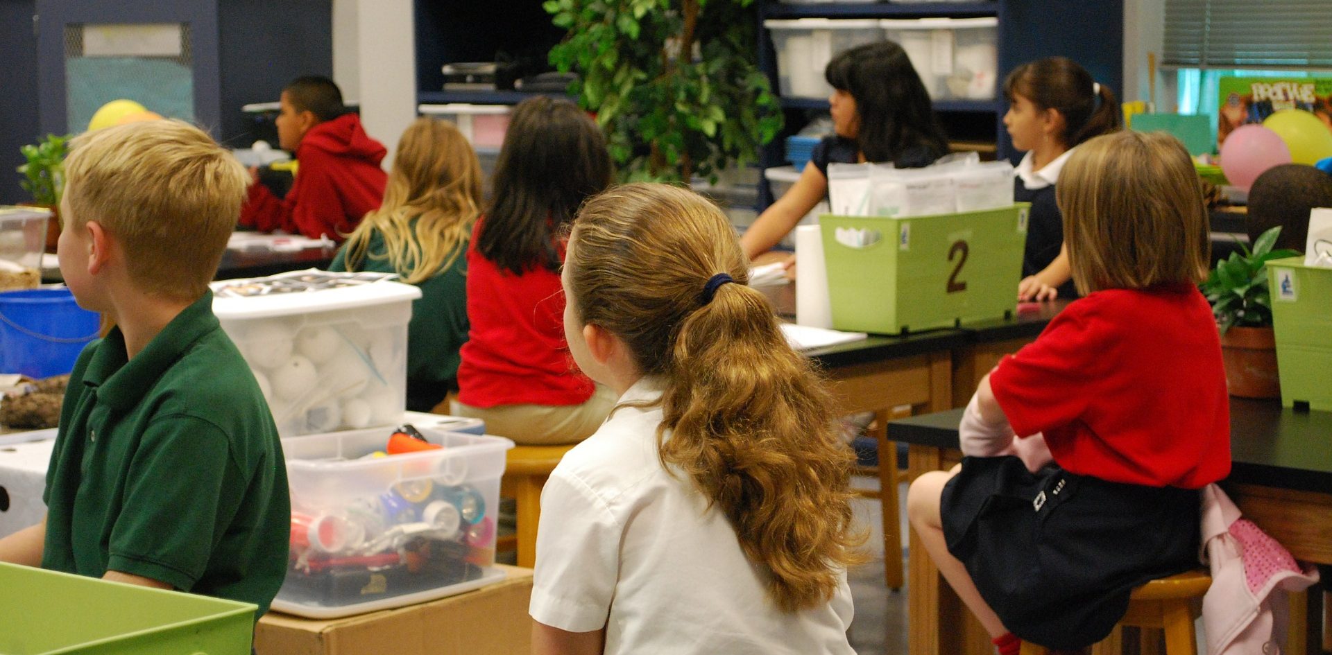 Children learning in a classroom — RSHP Scotland education resources